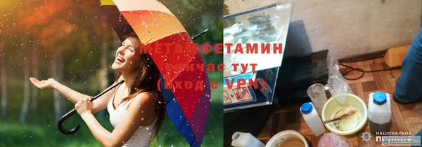 мдпв Богородск