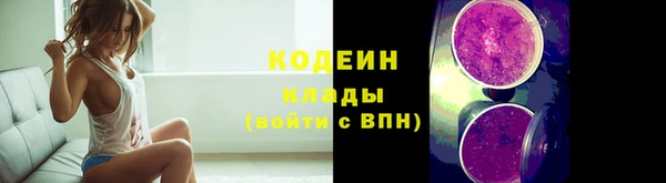 мдпв Богородск