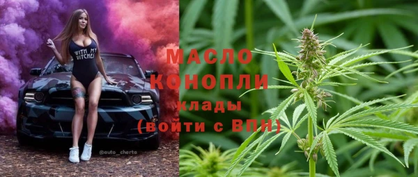 мдпв Богородск